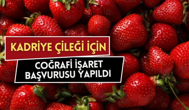 kadriye-cilegi.jpg