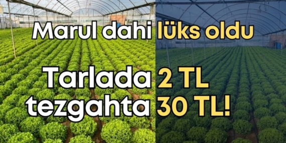 Antalya’da Yeşillik Fiyatları Krizi Büyüyor!