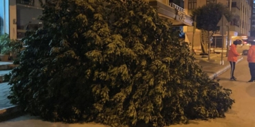 mersinde-siddetli-ruzgar-agaclari-devirdi-2.jpg
