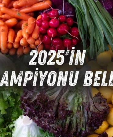 zam-sampiypnu.jpg