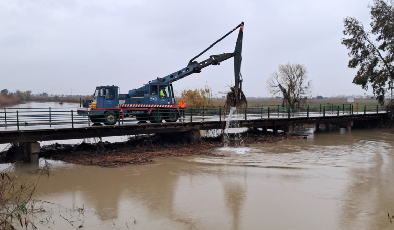 Derelerde biriken atıklar temizleniyor