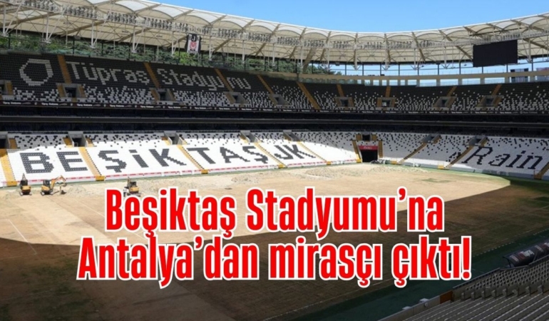 besiktas-stadyumu-tasarim.jpg