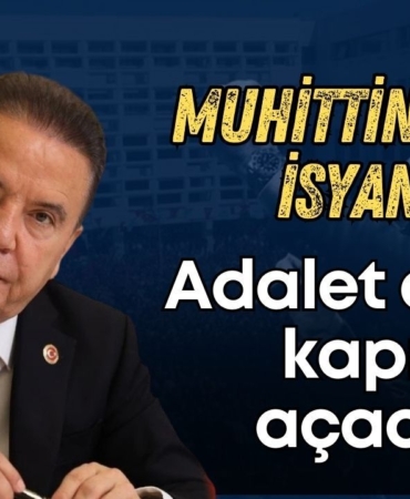 bocek11.jpg
