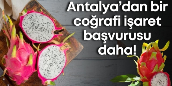 Antalya Ejder Meyvesi Coğrafi İşaretle Tescillendi!