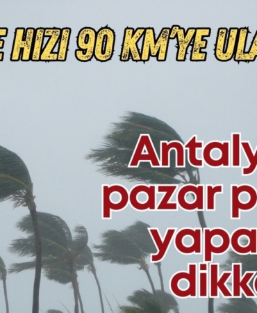 hiz1.jpg