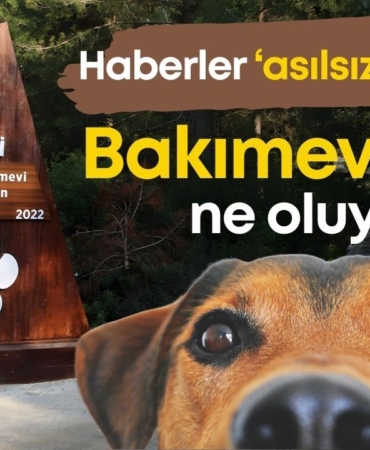 kas-belediyesi-2.jpg