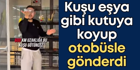 Otobüsle Hayvan Göndermek Tartışma Yarattı!