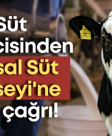 sut-konseyi-manset.jpg