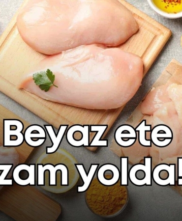 vildan-ozkan-2026-01-05t151149525.jpg