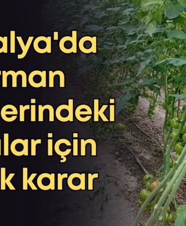 vildan-ozkan-2026-01-14t153305049.jpg