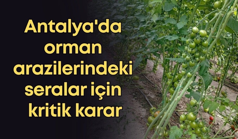 vildan-ozkan-2026-01-14t153305049.jpg