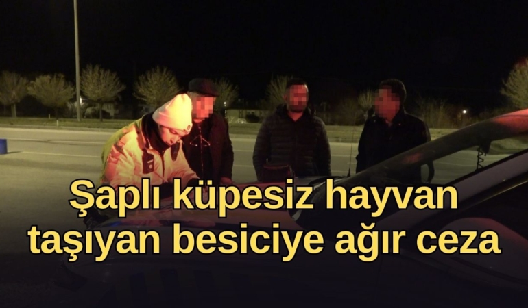 vildan-ozkan-2026-01-18t092123132.jpg