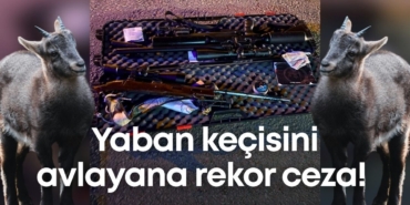 yaban-kecisini-avlayan-rekor-ceza-2.jpg