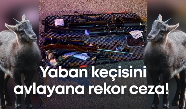 yaban-kecisini-avlayan-rekor-ceza-2.jpg