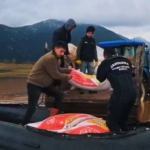 Aşırı yağışta mahsur kalan çoban ve hayvanlara jandarmada