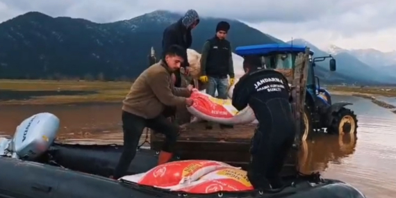 Aşırı yağışta mahsur kalan çoban ve hayvanlara jandarmada