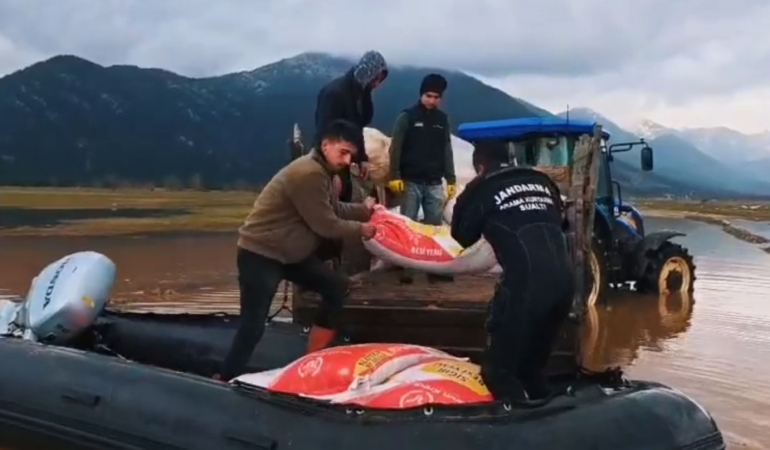 Aşırı yağışta mahsur kalan çoban ve hayvanlara jandarmada