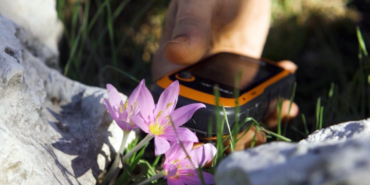 GPS verileri incelendi; orkidelerde kaçak söküm alarmı