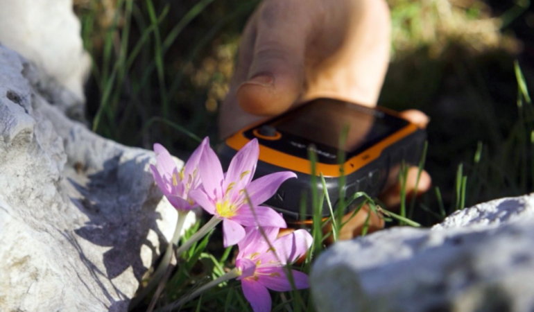GPS verileri incelendi; orkidelerde kaçak söküm alarmı