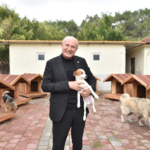 Kepez’de sokak hayvanlarına sıcacık yuvalar