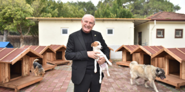 Kepez’de sokak hayvanlarına sıcacık yuvalar