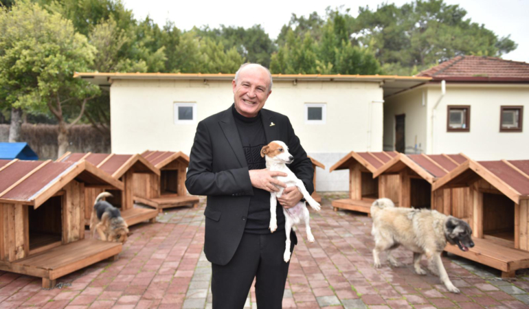 Kepez’de sokak hayvanlarına sıcacık yuvalar