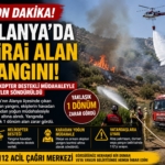 alanyayangın