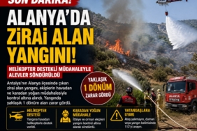 alanyayangın