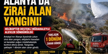 alanyayangın