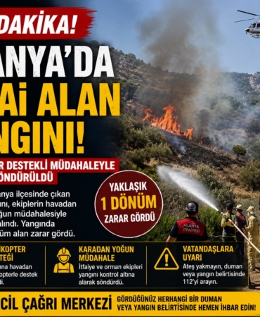 alanyayangın