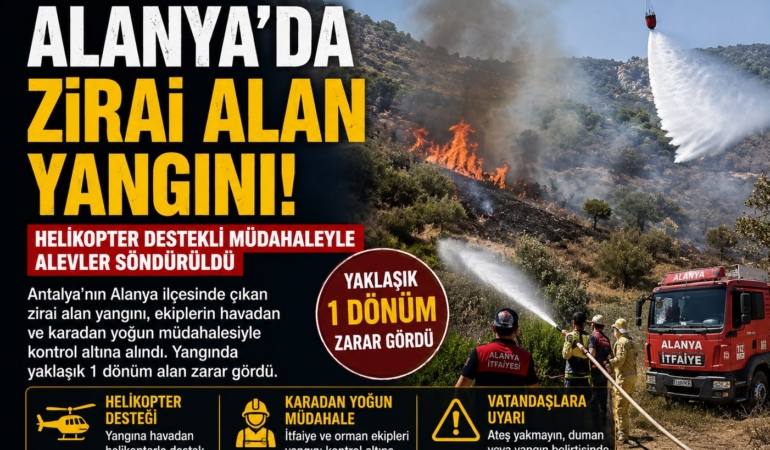 alanyayangın